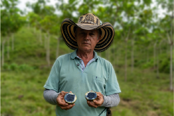 Luis, cultivador de Jagua